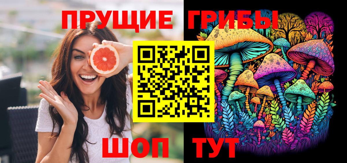 Псилоцибиновые грибы мицелий Мыски